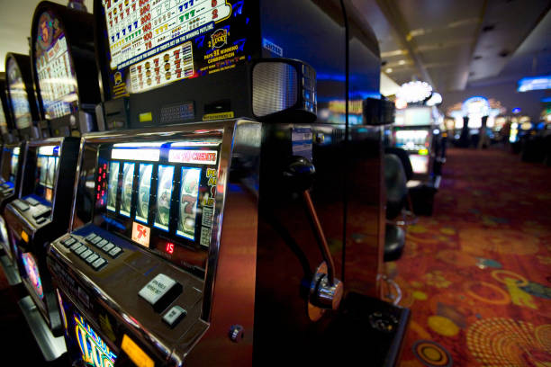cattle 4d gaming platform
