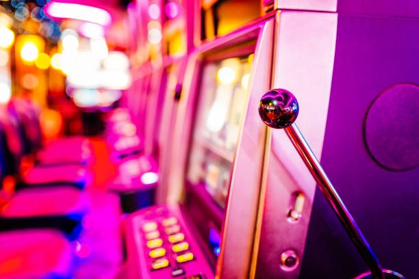 cattle 4d Live Roulette Royal
